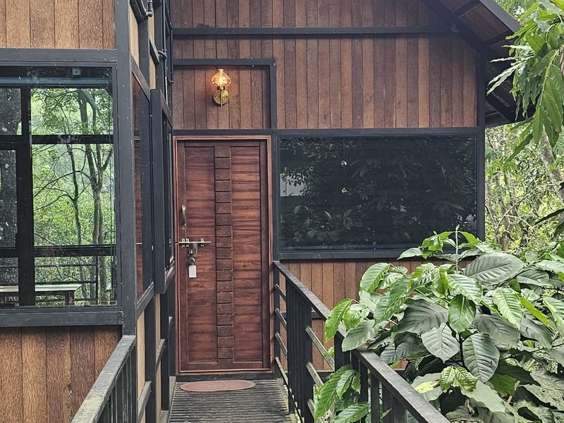 Above tree cottage resort balcony