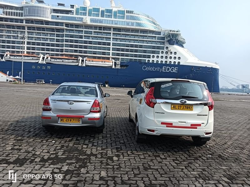 Cabs parked with Cruise ship in background