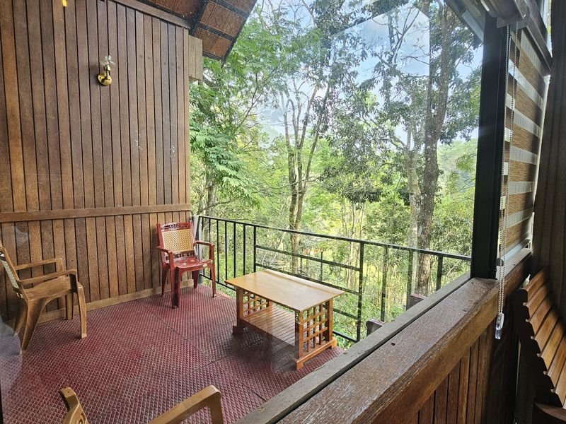 Cottage resort above trees