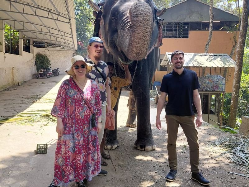 Foreigners and family near elephant