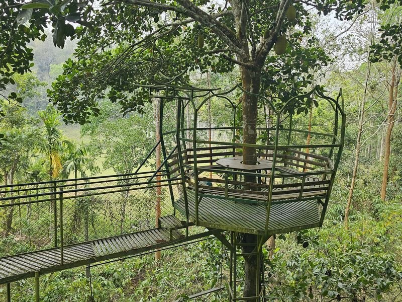 Greenery Places tourists visits