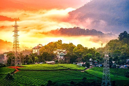 Munnar golden sunset