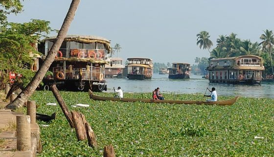 Houseboat Cruises